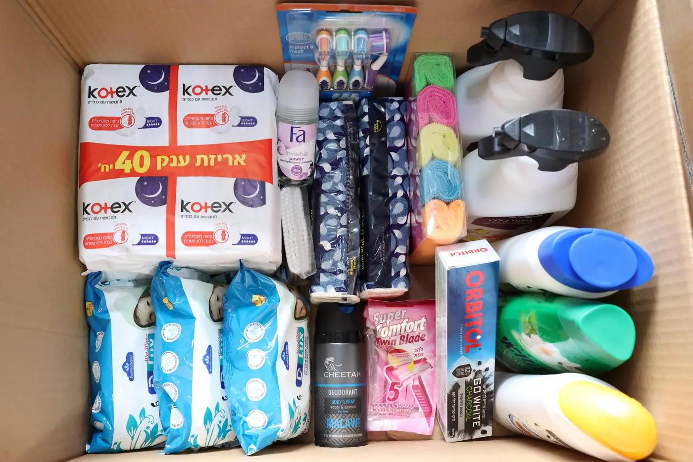 ניקיון והיגיינה