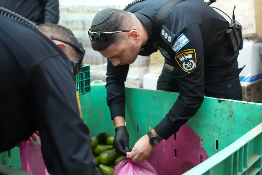 מתנדבים במדי משטרה