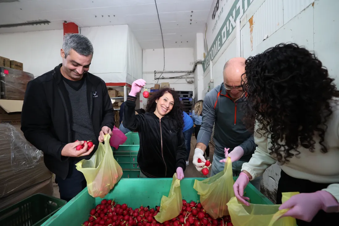 מתנדבים אורזים תוצרת טרייה