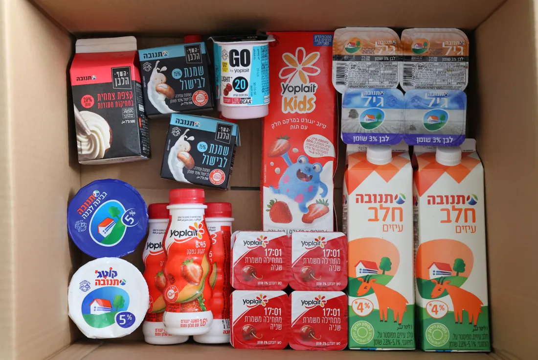 מוצרי חלב בסל המזון